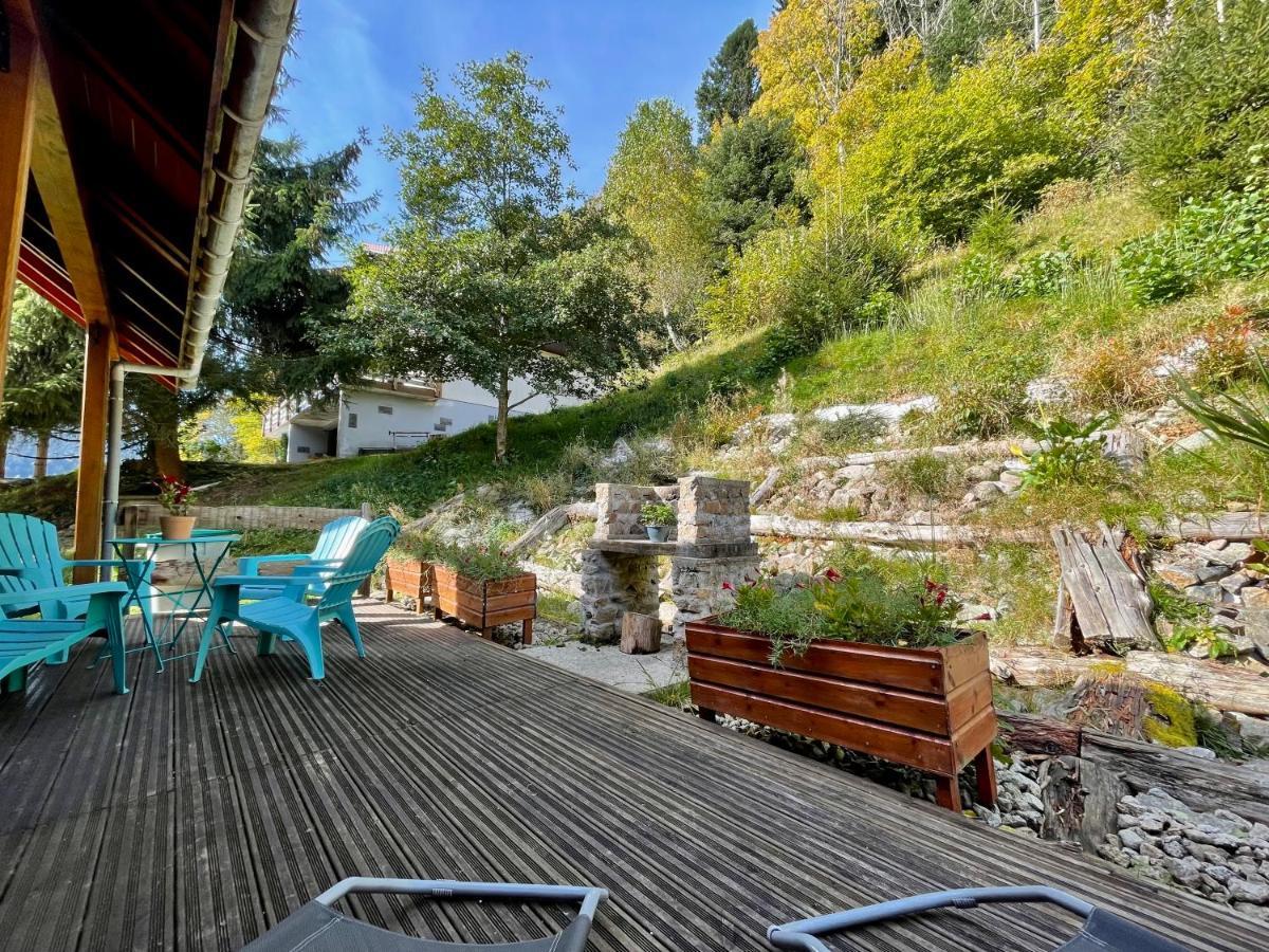 Chalet Des Feignes La Bresse