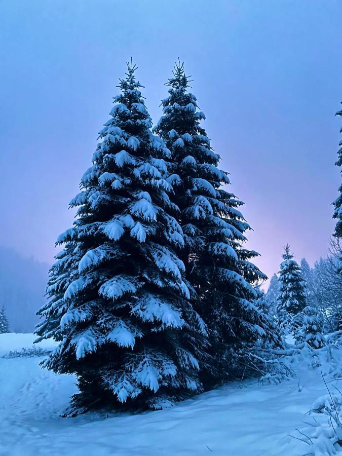 Chalet Des Feignes